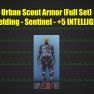 Urban Scout Armor [Full Set] [Unyielding - Sentinel - +5 INTELLIGENCE] - image